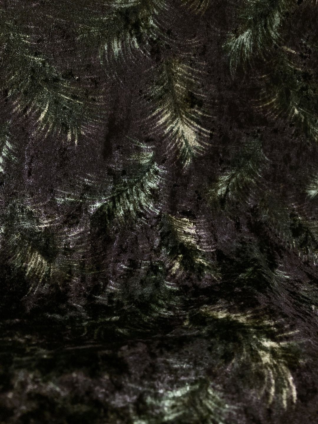 Thumbnail 117fc0bd-318b-4ee8-bcea-0cafae3acc24