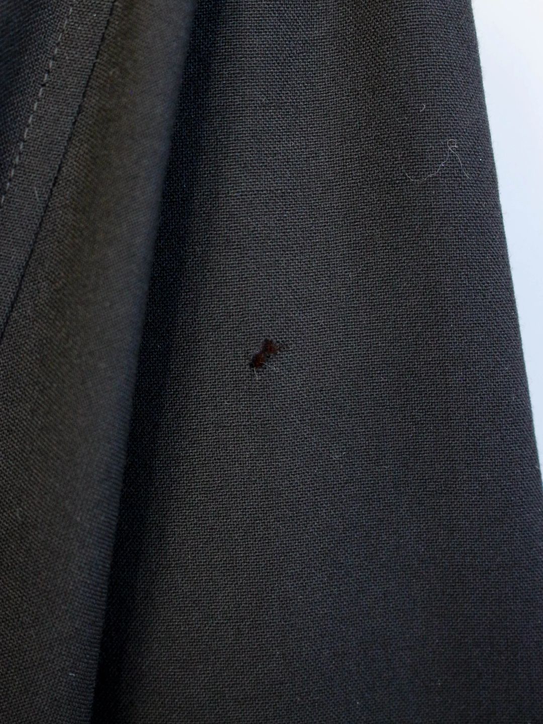 Thumbnail 26dc2626-3bde-4919-a382-4a57294d70a1