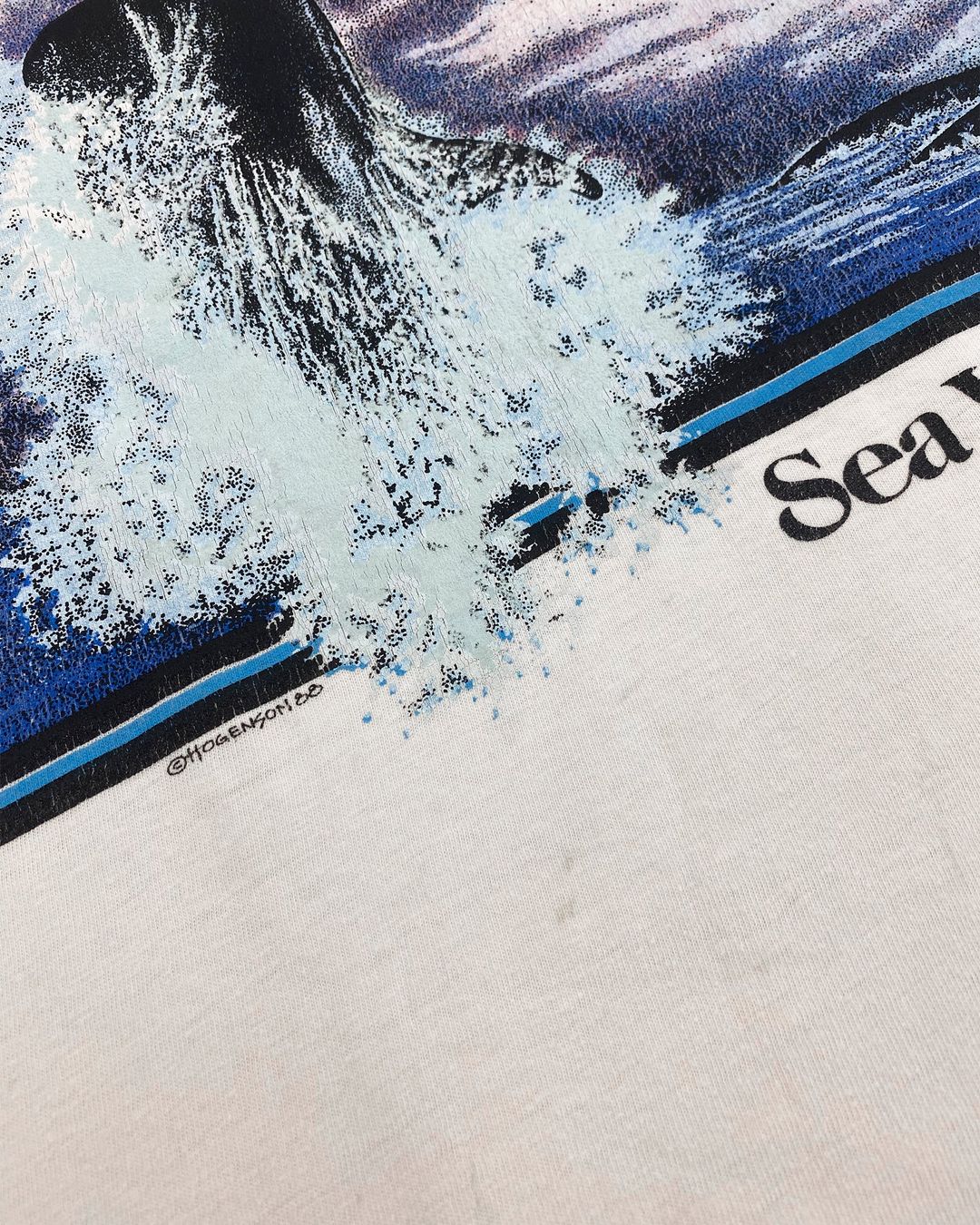 Thumbnail 548163b0-e032-4b70-86ea-57d6bf4c75f0