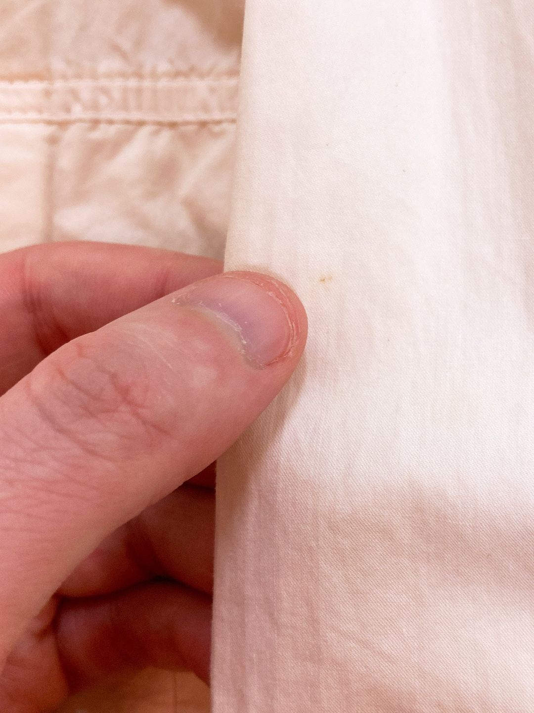 Thumbnail 9f5582ea-137f-421f-abaa-a9000313bce2