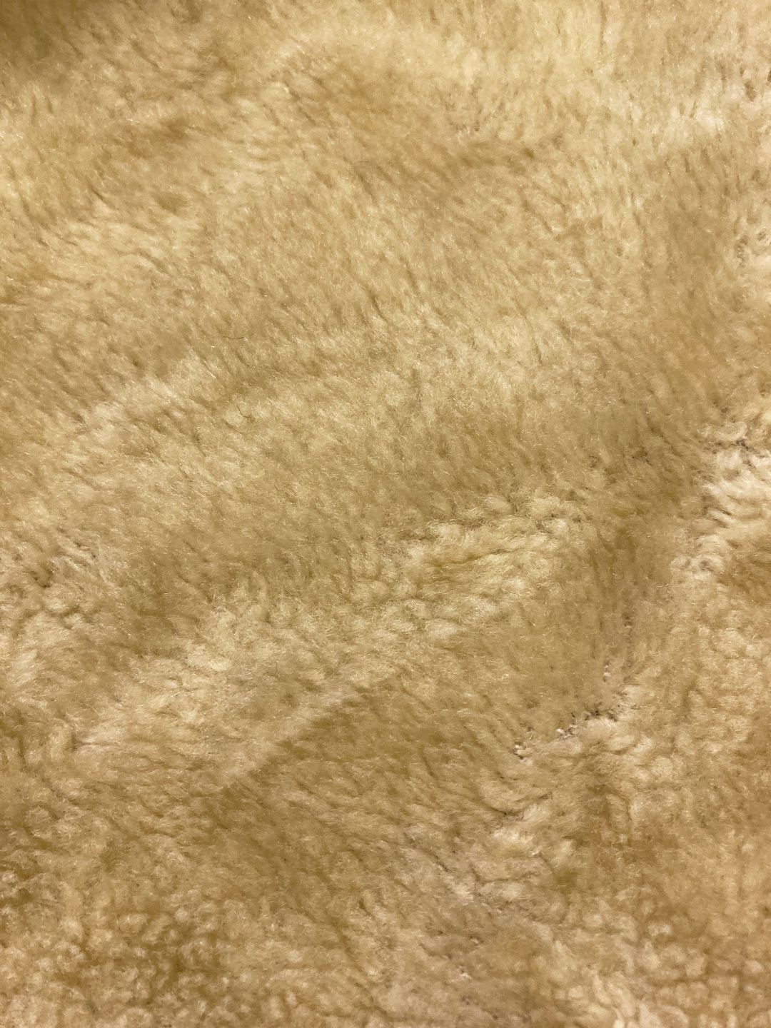 Thumbnail 880516fc-25c1-4d82-8099-aa1091210661