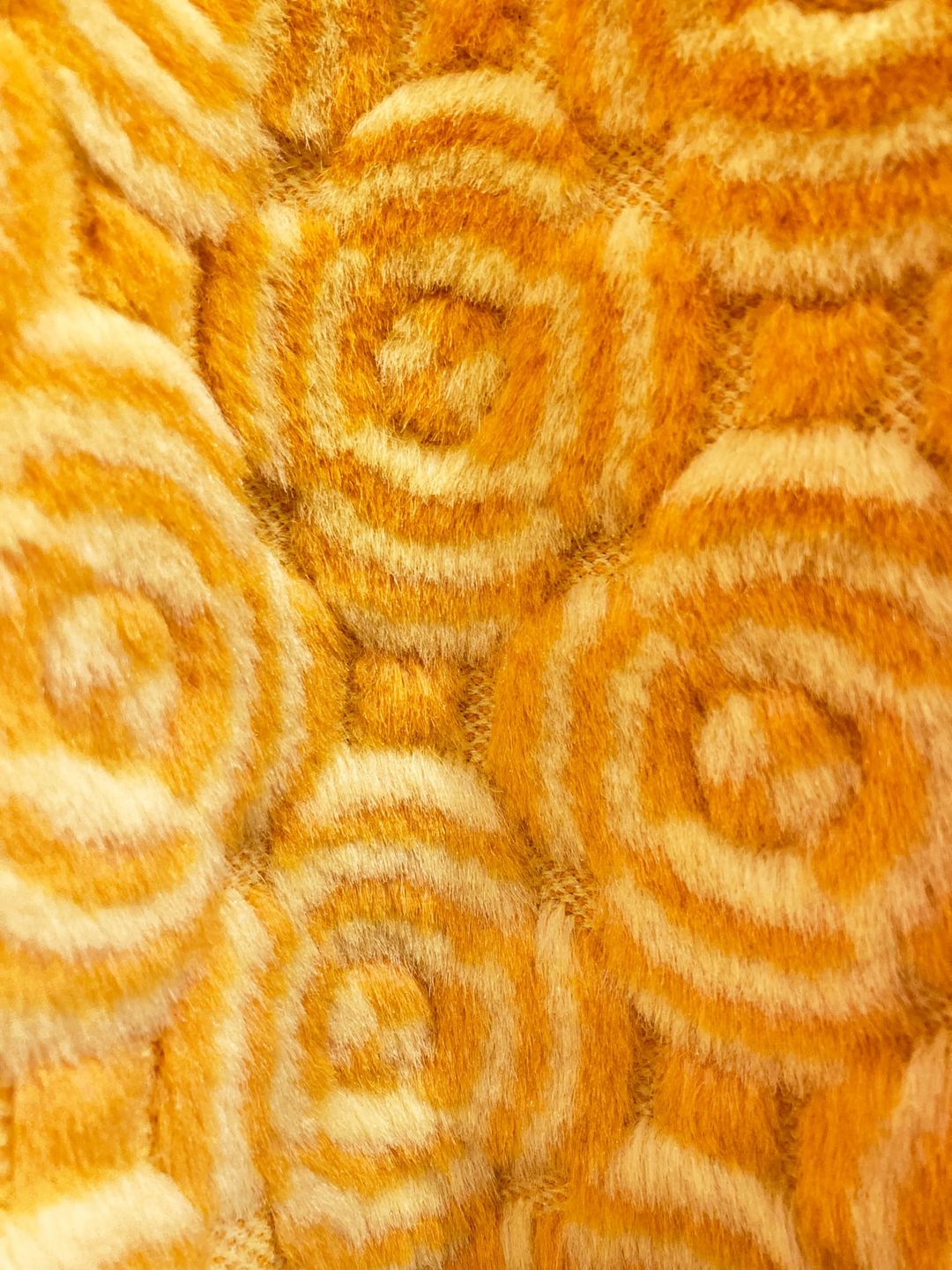 Thumbnail b121070c-6438-40e4-a365-3c1618a40e63