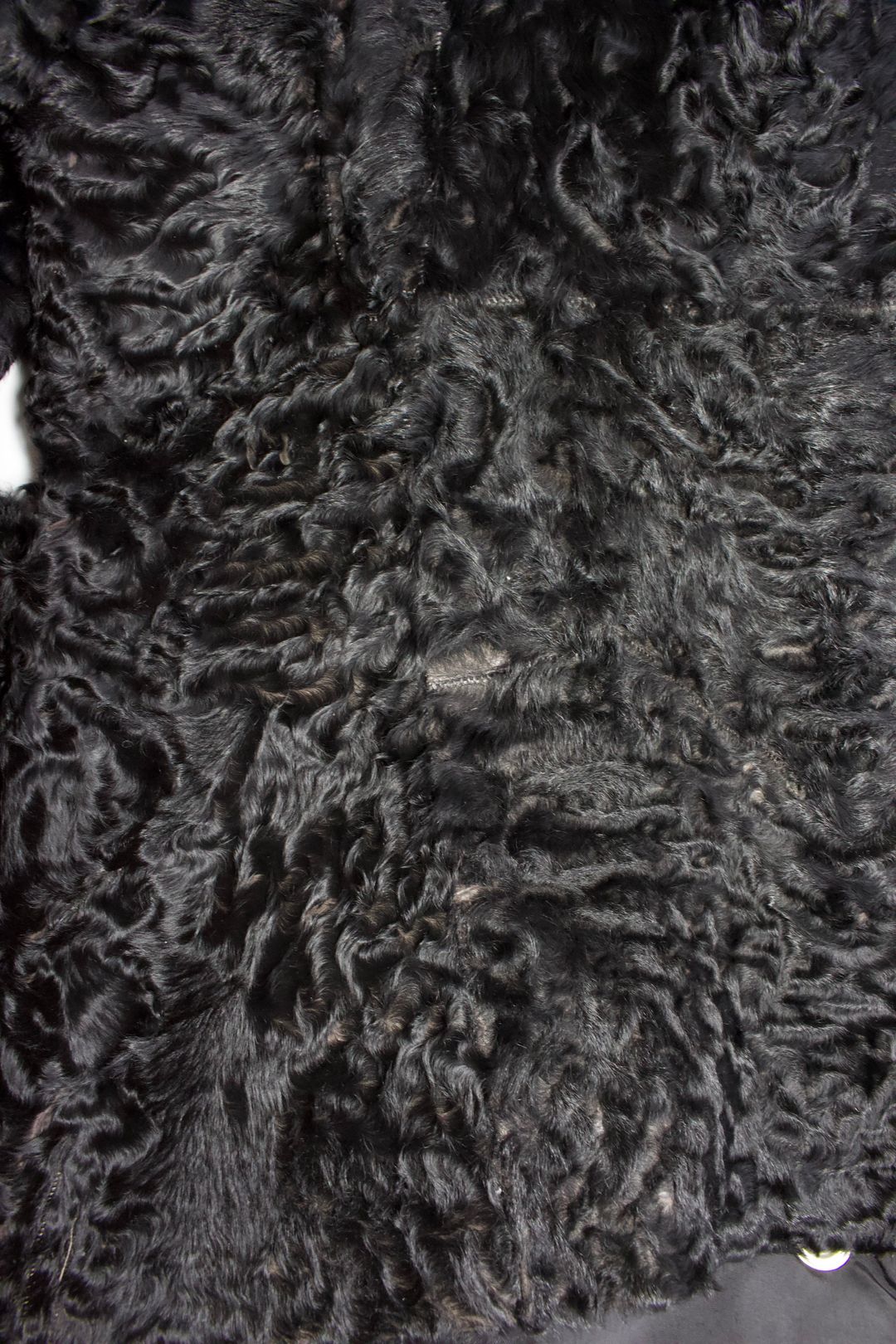 Thumbnail 21ca531d-2cde-4e66-923c-fa4d7f90f941