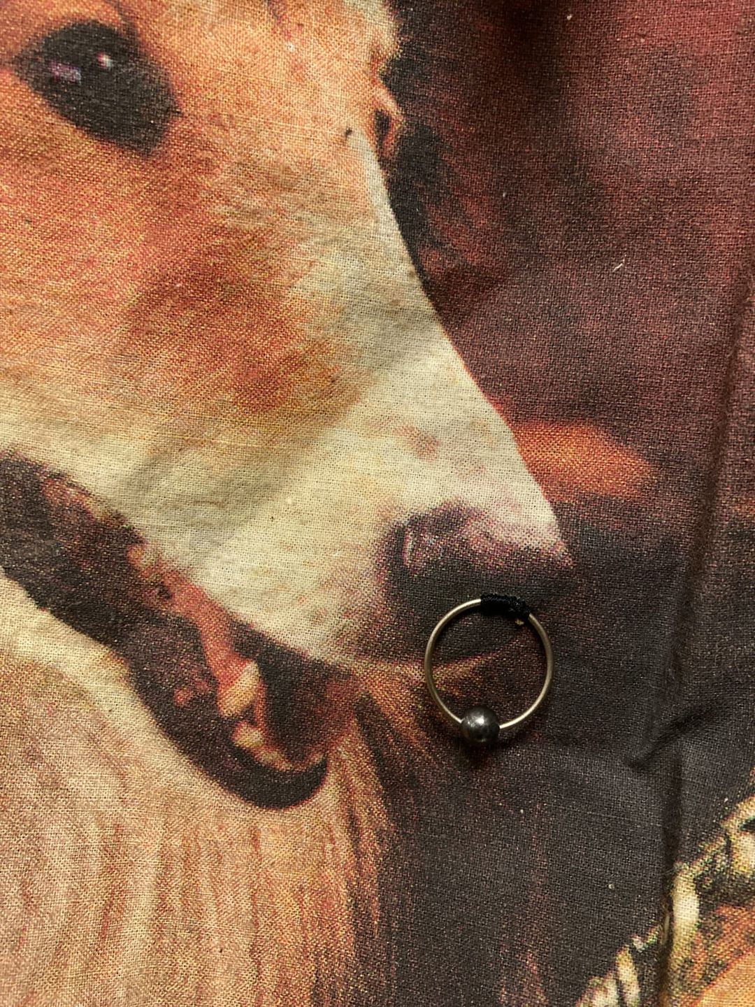 Thumbnail 8bb21e4f-45e5-488a-82df-912732f1f60f