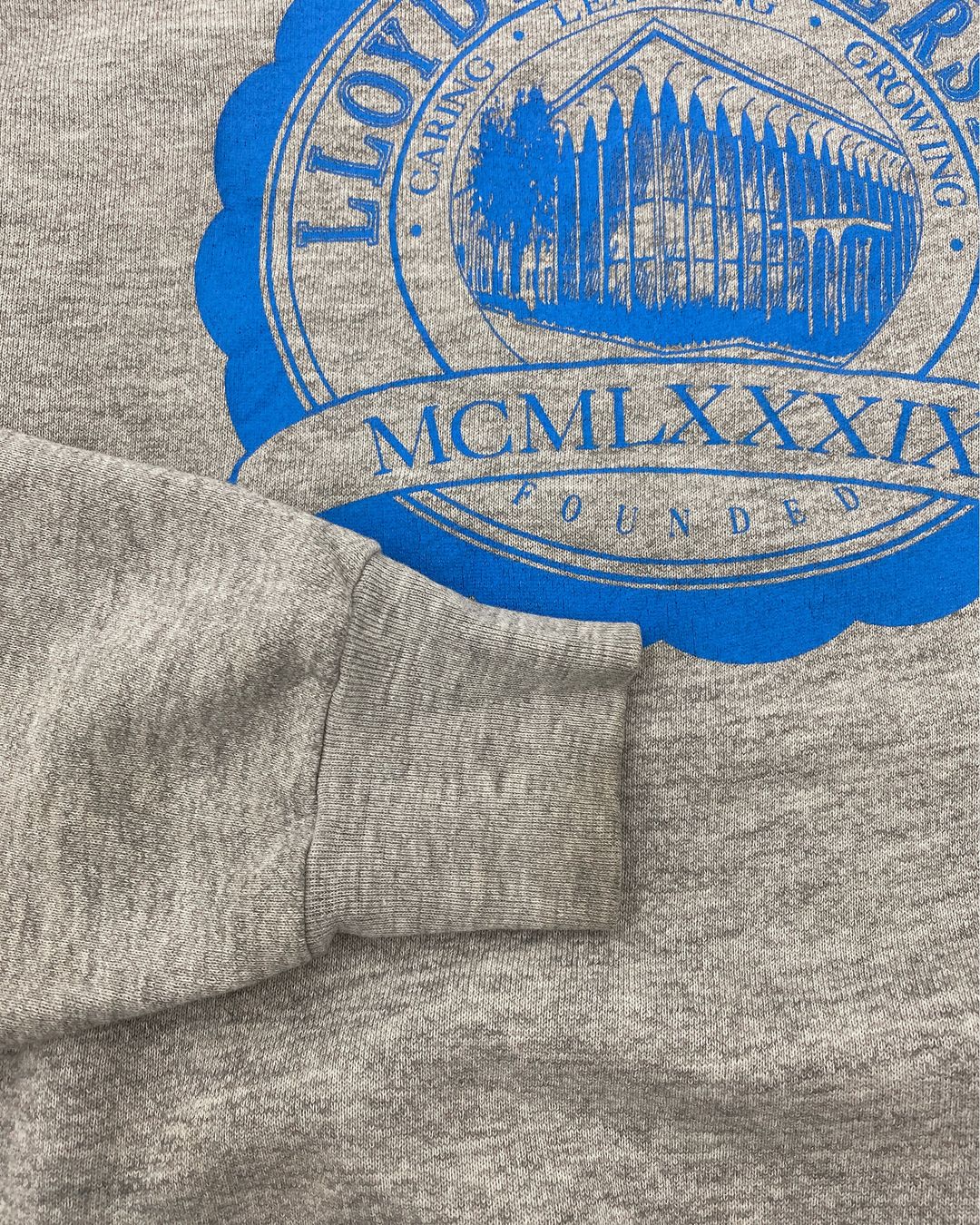 Thumbnail 4d4c0aa8-eba3-41f4-a6bf-00f1c815e101