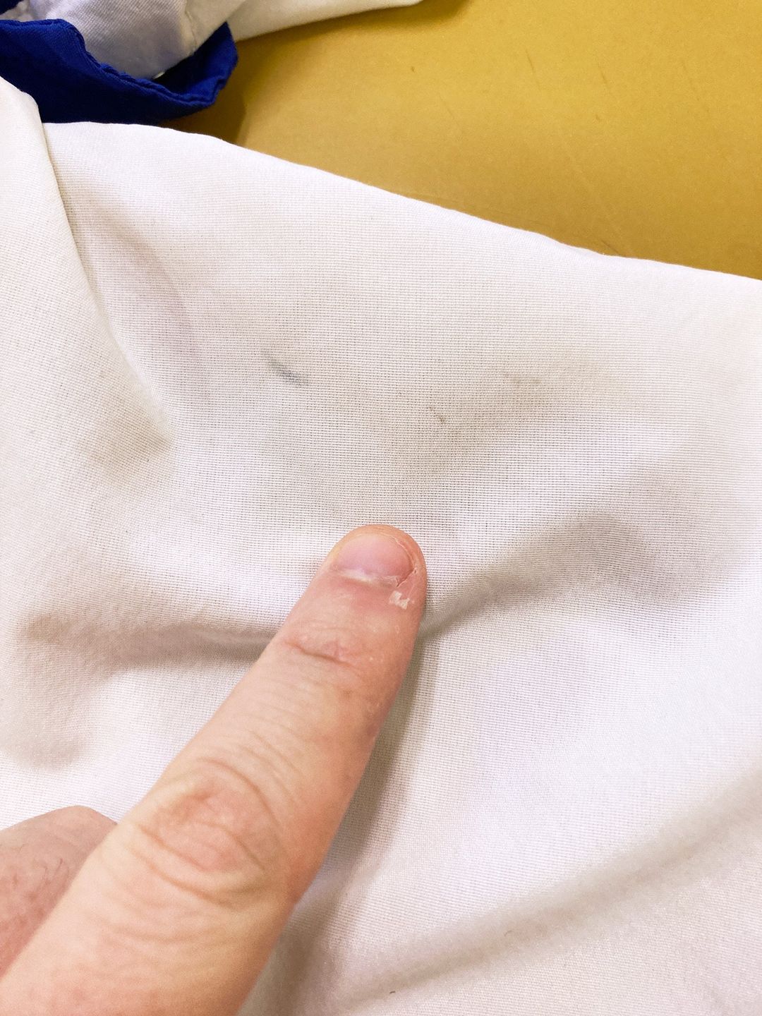 Thumbnail 04bab72b-baa4-4c20-8ce8-bbcede5ea6b9