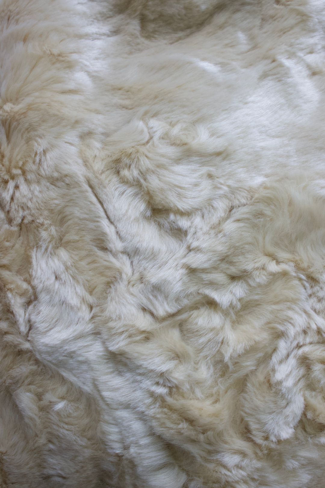 Thumbnail 2b551979-4418-4a99-9d59-e552651f5c46