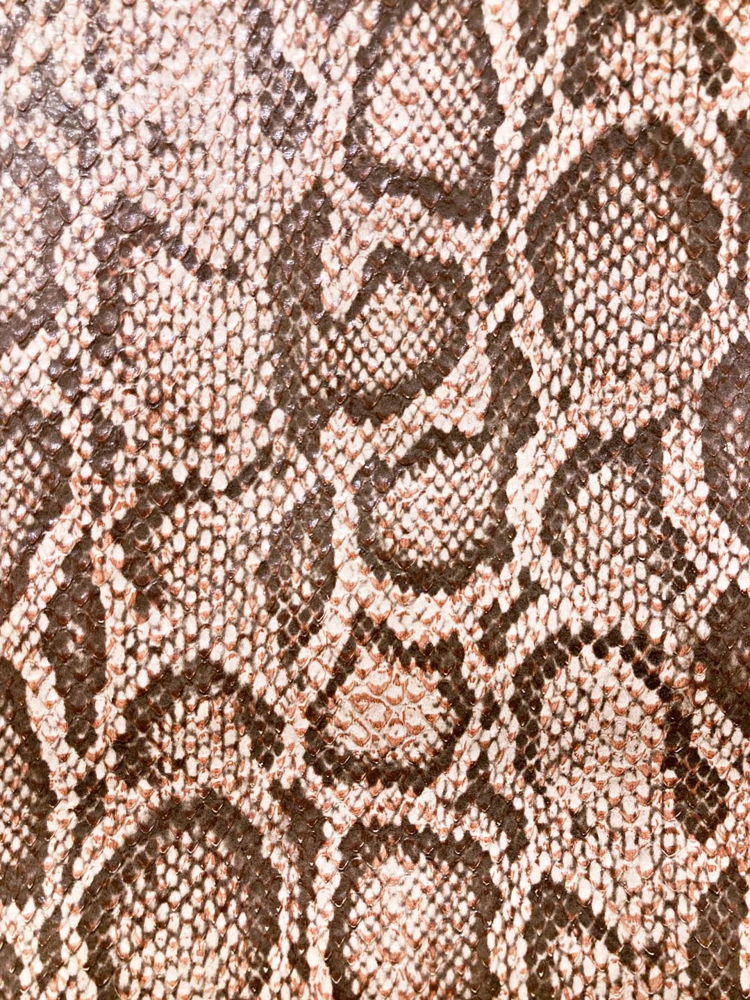 Thumbnail 5a6a8b63-65a9-46c5-9b62-1c6e6ec3dac1