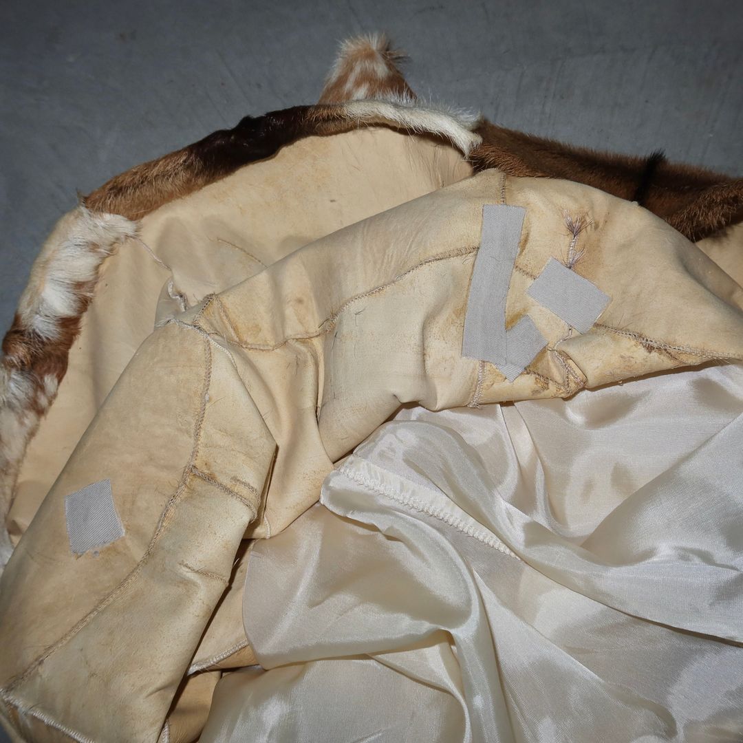 Thumbnail 1f9baa39-f6d1-41a7-b972-649b83d64bcc