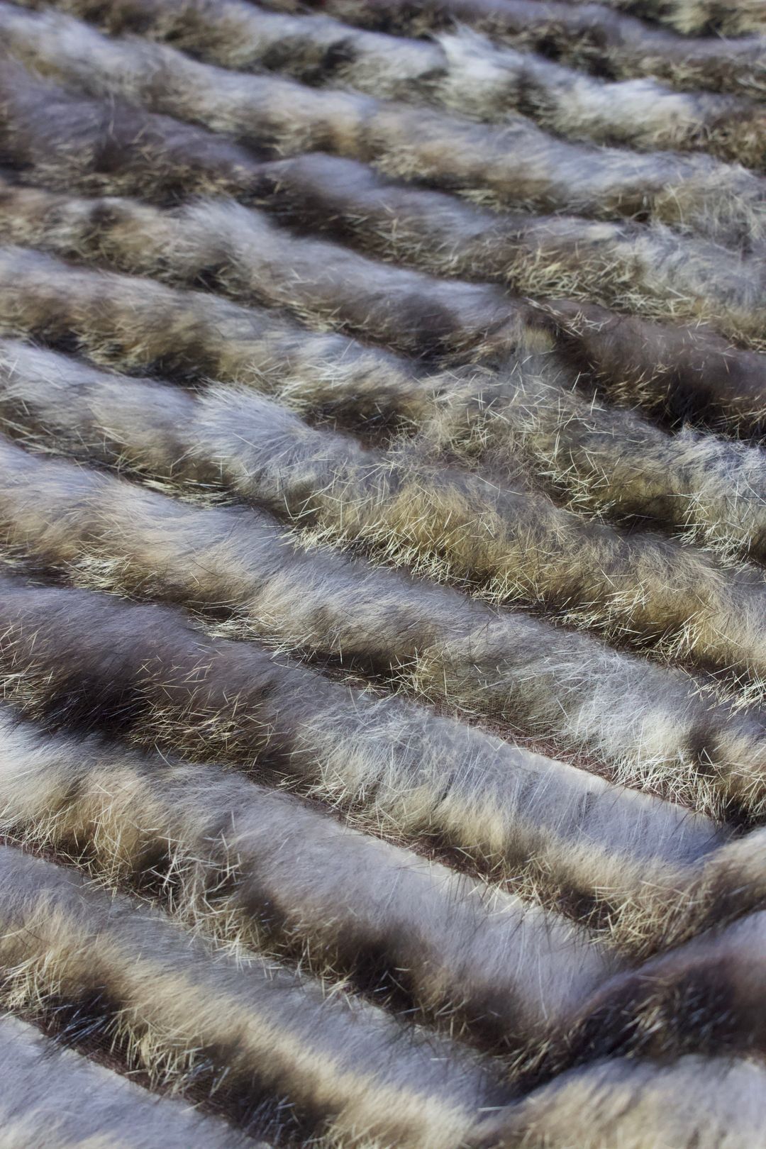 Thumbnail 2f13dc0f-a51e-4cc5-8949-167ad78a20ed