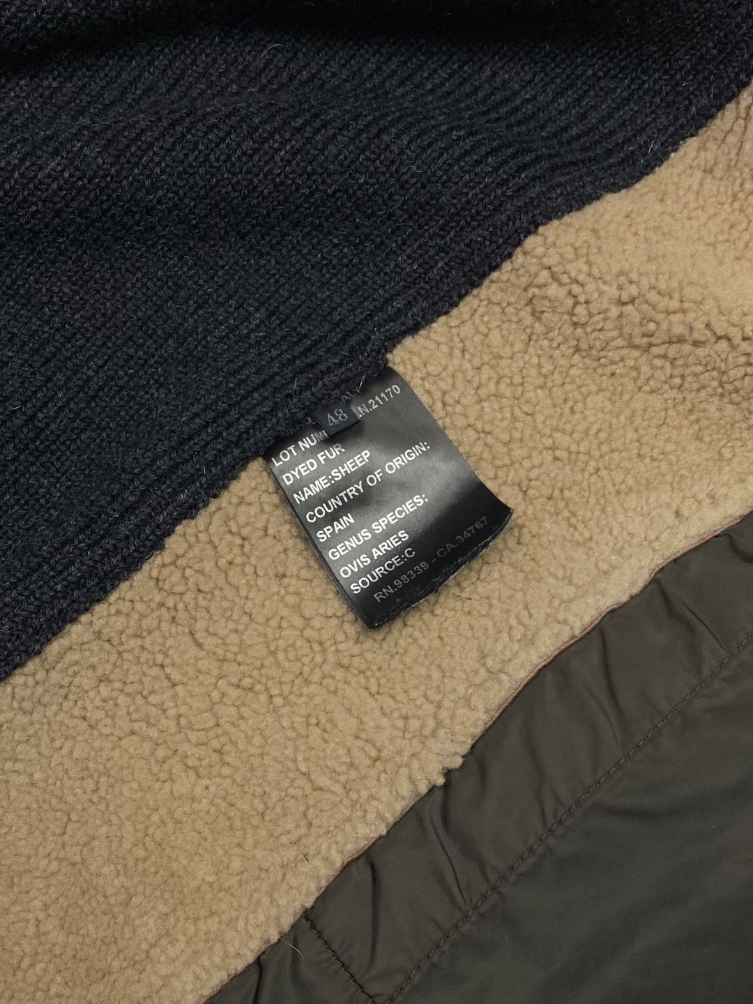 Thumbnail 8ce39cd8-ffbd-4e09-9a55-b3505190a9d1