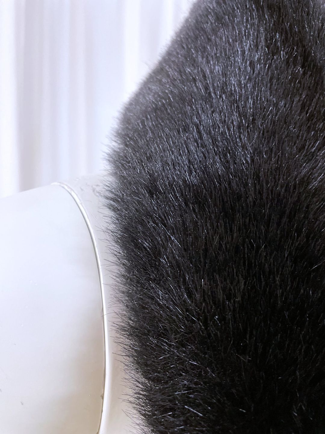 Thumbnail b889f419-eb7c-4e49-b9f0-09f05399e77b