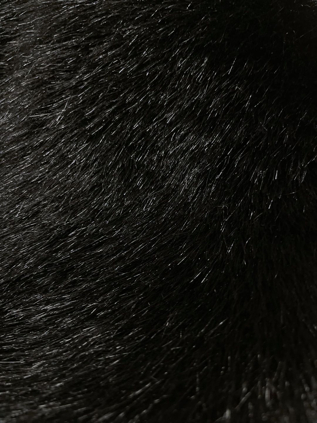 Thumbnail 1fa27dca-7bff-4ea8-9122-75a625976c64