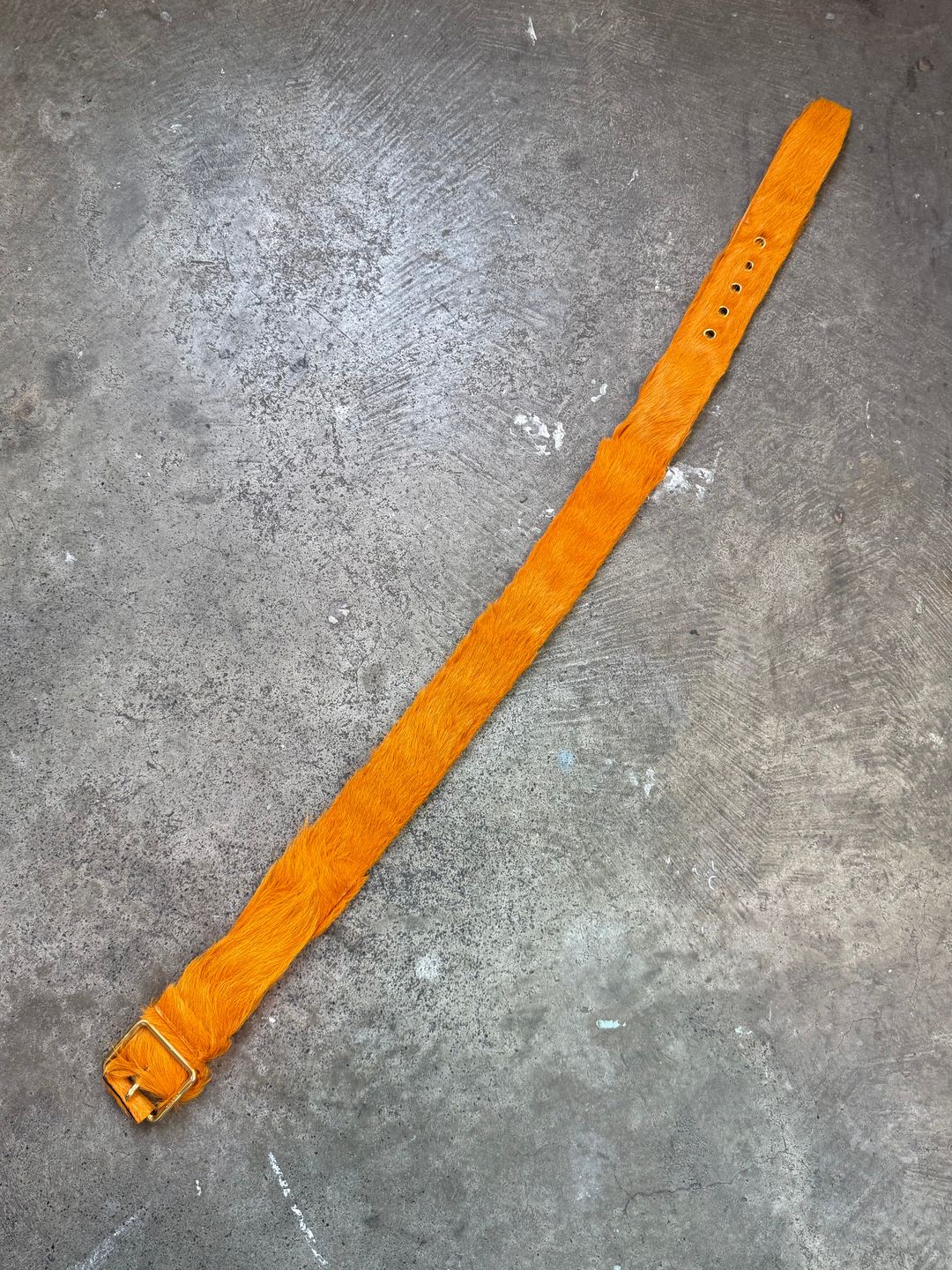 Thumbnail 2e980a14-5e04-46f6-83fa-9ac170a6a857