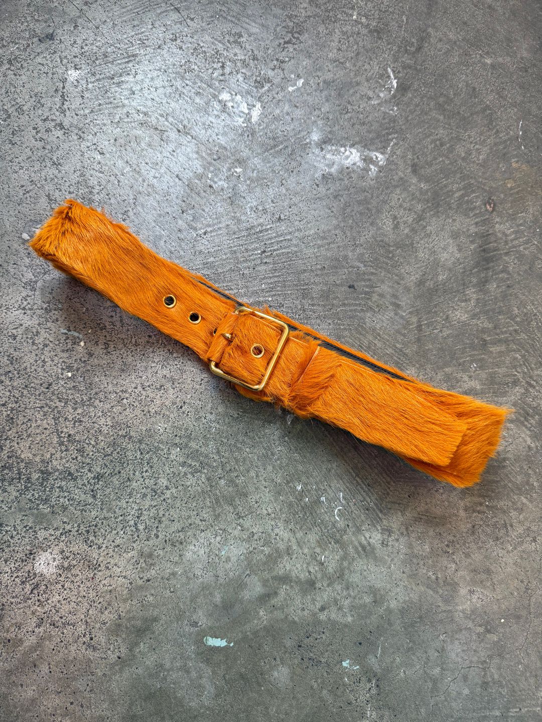 Thumbnail 04b188df-5964-4cfb-9a06-8cf36eb6ebfb