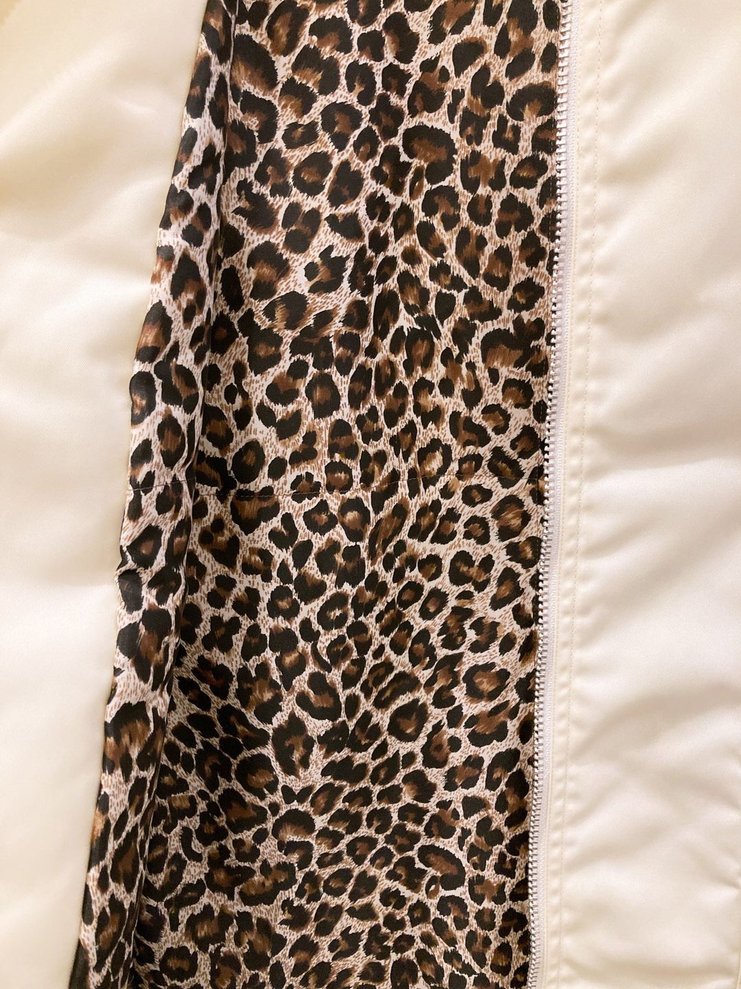 Thumbnail ad8983bb-3711-43bd-aa9e-da2b018c8d74