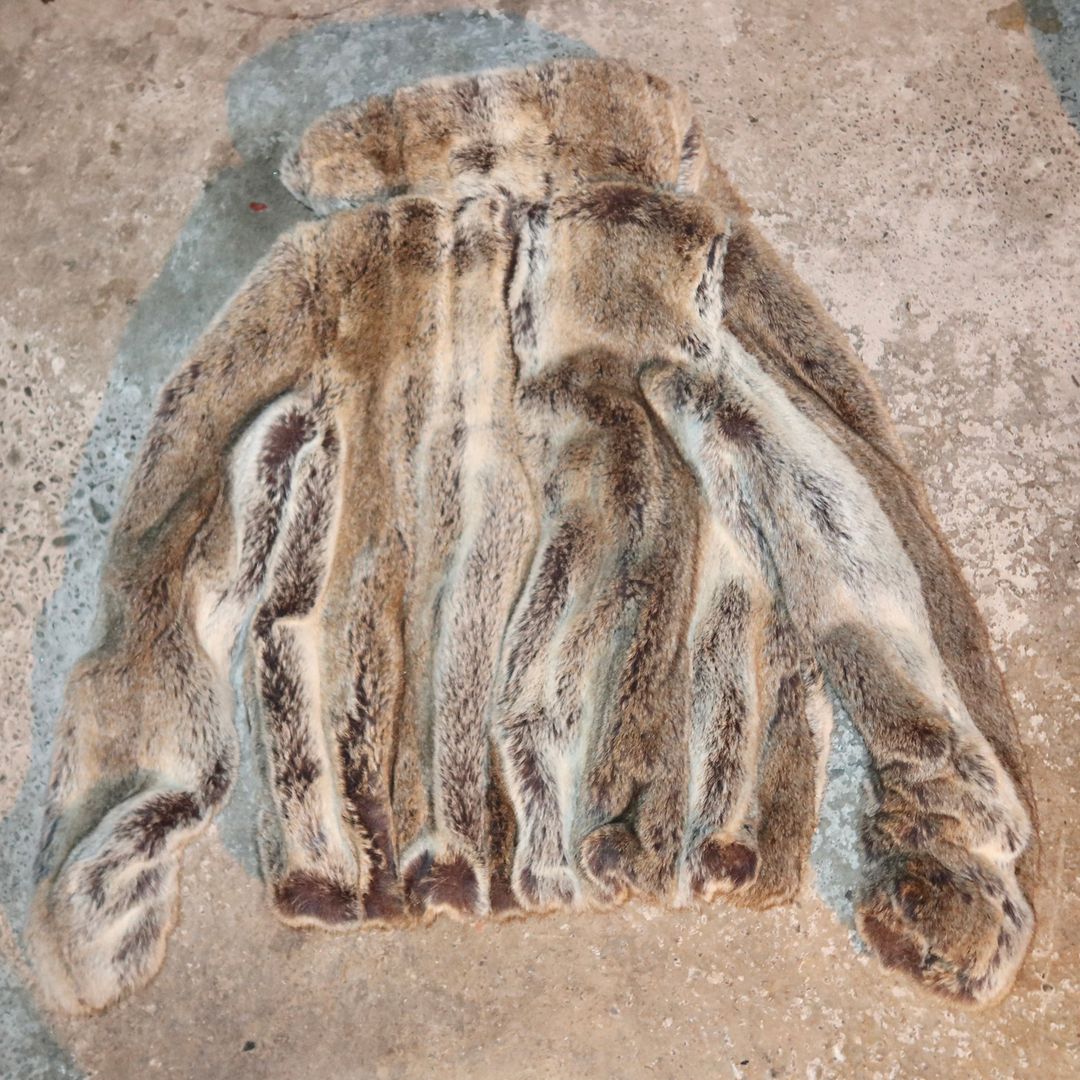 Thumbnail 32b87ad9-3fce-47f6-89ad-011b9946eba6