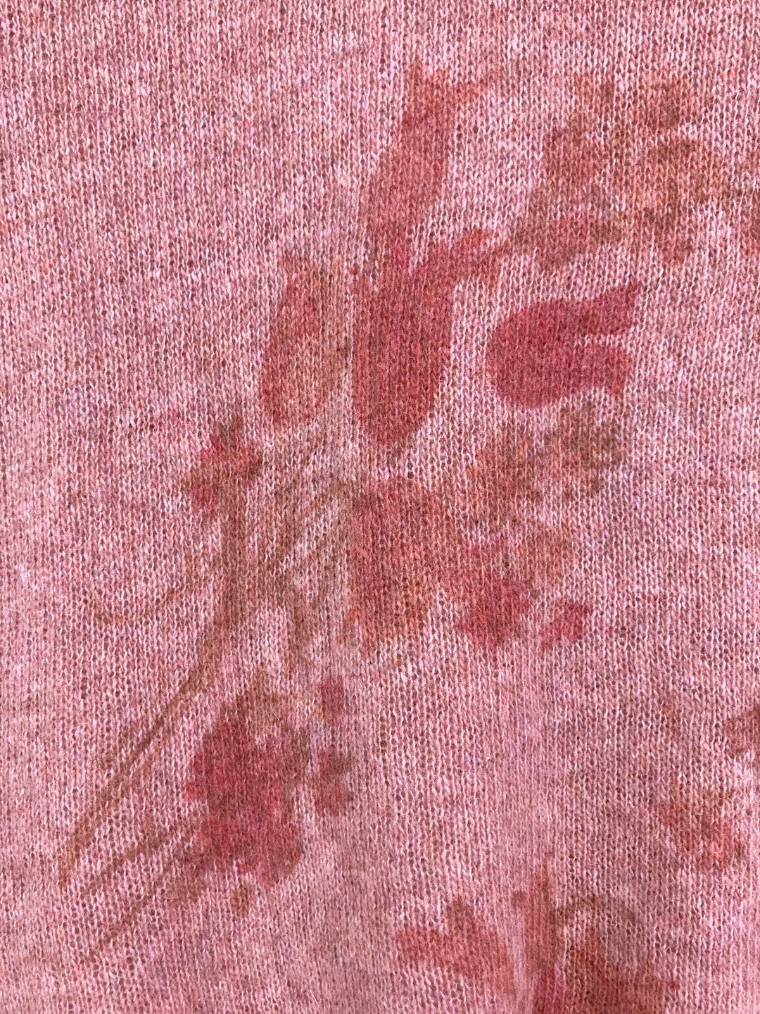 Thumbnail 943e9b8d-85de-4943-be19-c99b2915b91f