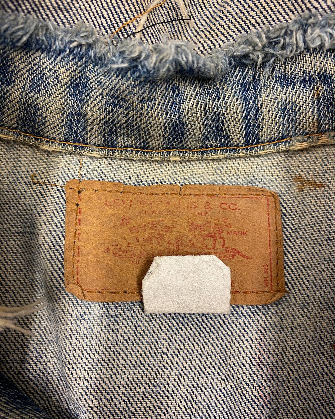 Thumbnail 44407796-dc5b-4f47-88f3-67872c9eb5ee