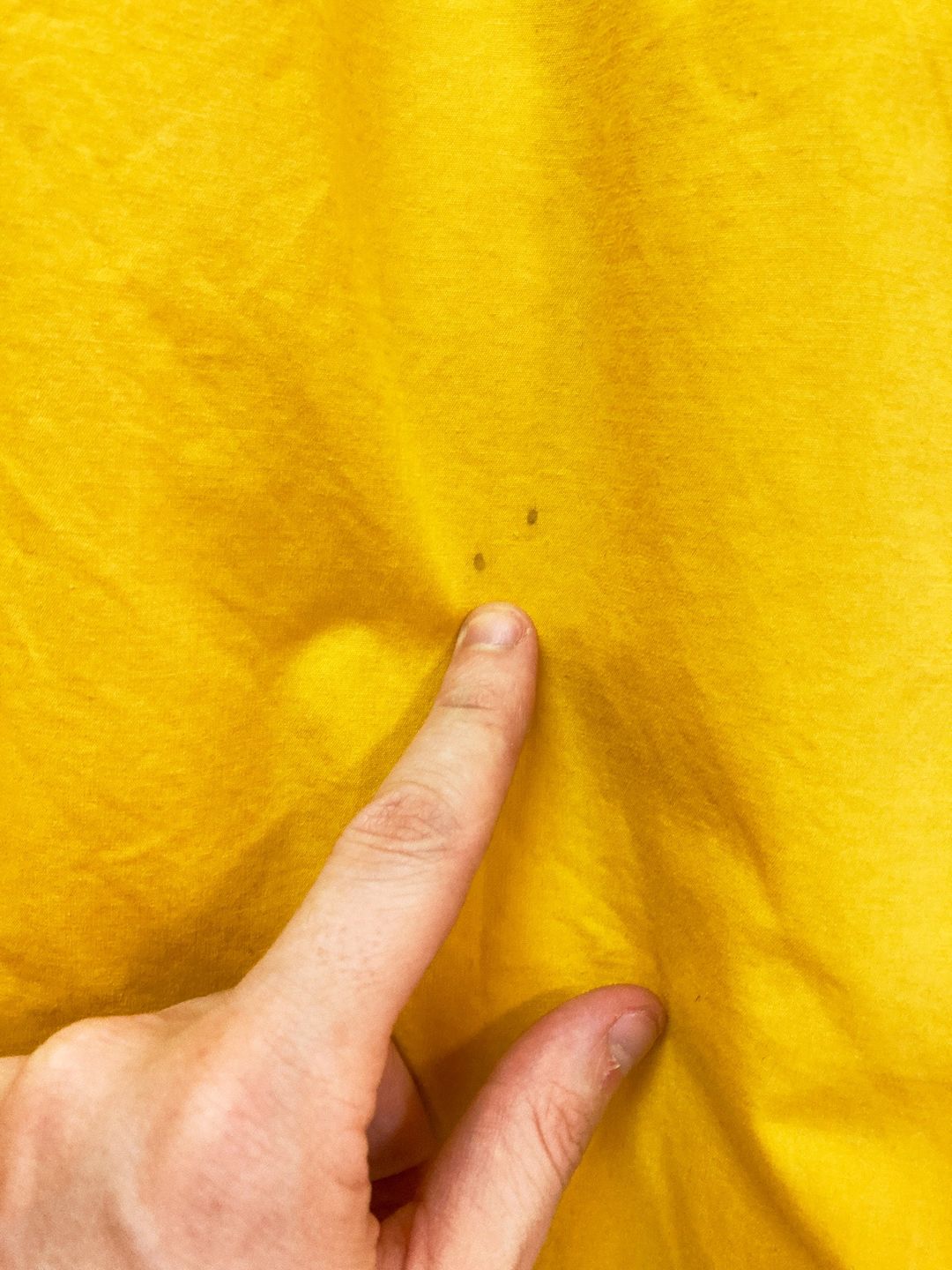 Thumbnail a10e2339-ebc0-4702-a77e-e2727c514fd5