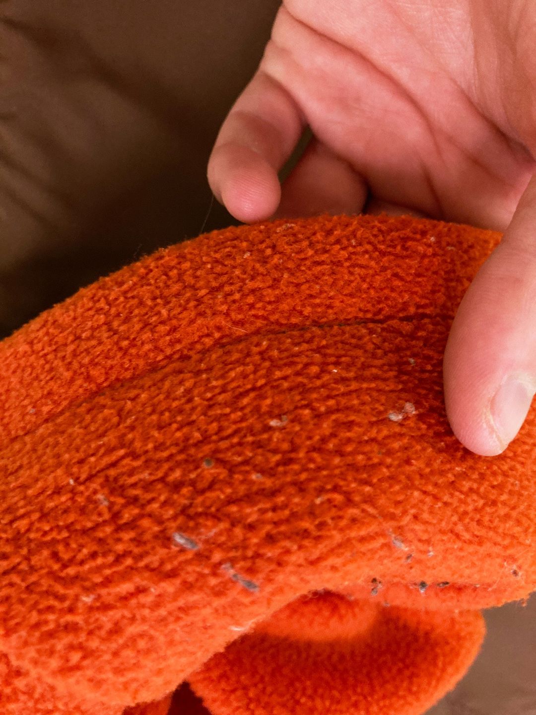 Thumbnail 0eb5387e-f8e6-46c9-89a7-7938a7812dbc